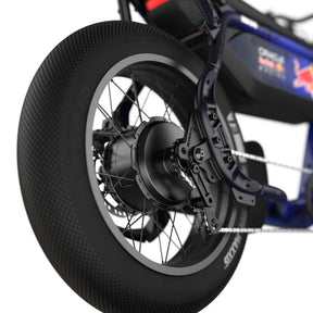 Oracle Red Bull Racing M1D SE