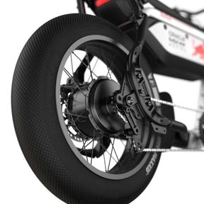 Oracle Red Bull Racing M1D SE