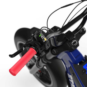 Oracle Red Bull Racing M1D SE