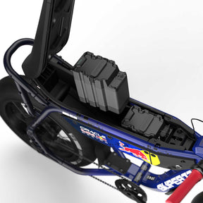 Oracle Red Bull Racing M1D SE
