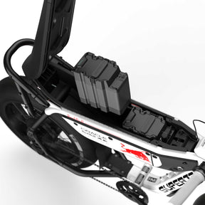 Oracle Red Bull Racing M1D SE
