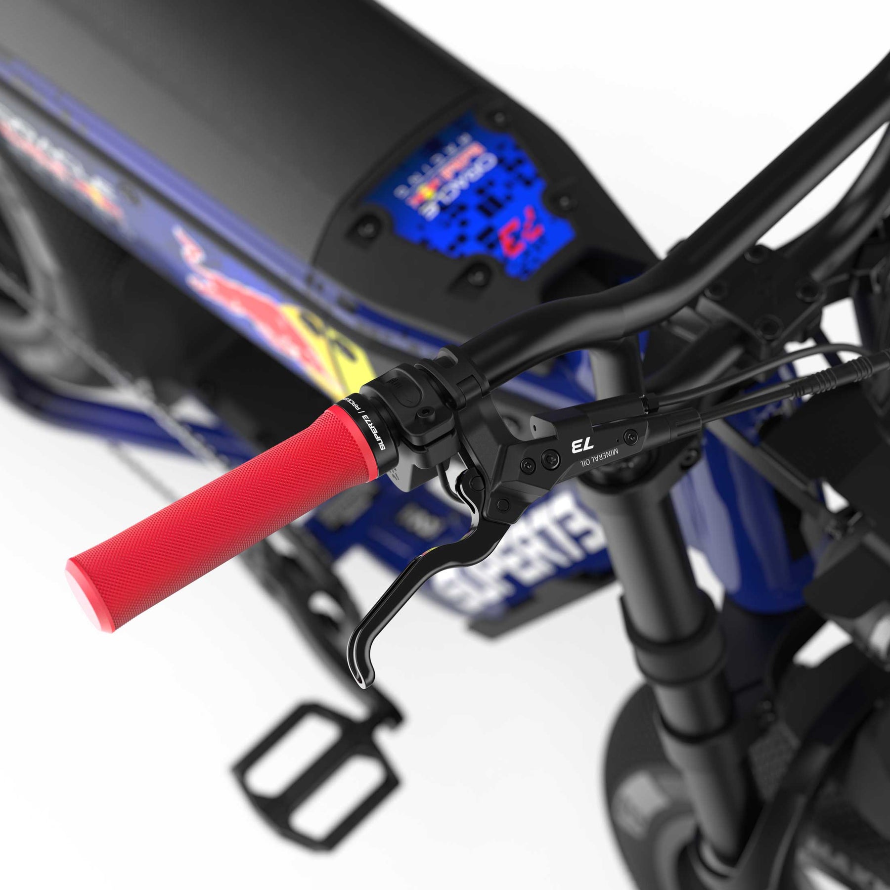 Oracle Red Bull Racing M1D SE