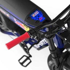 Oracle Red Bull Racing M1D SE