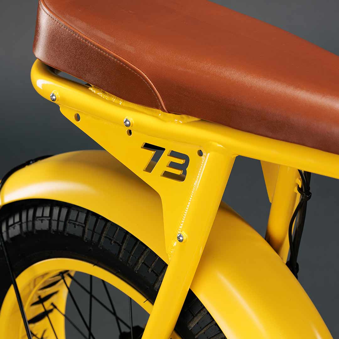 Close-up photo of the custom Pacifico x SUPER73-S2 bike frame and fenders.