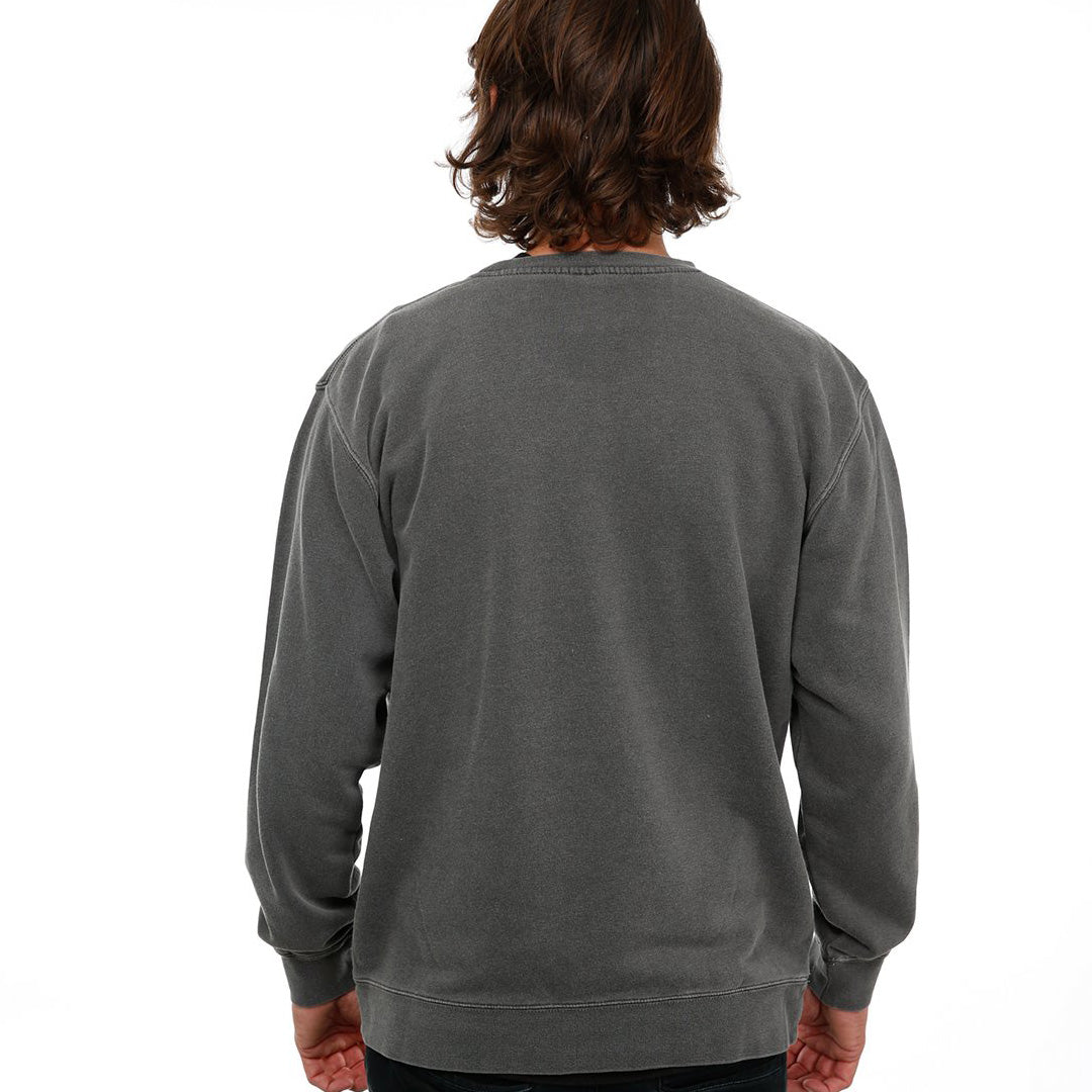 Back view of male model in Pigment Black Classic Crew Sweatshirt on white background.